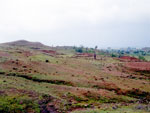 Excavated site  1
