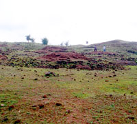 Excavated Site Monument